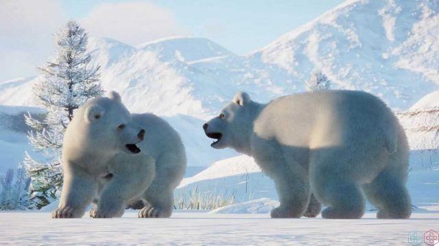 Revue du pack Arctique Planet Zoo : une visite sur glace