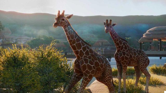 Planet Zoo Review: Heaven for the animals, hell for us